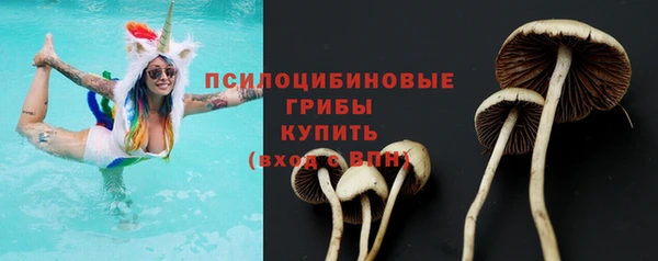 крисы Зеленодольск