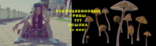 прущий лед Алексин