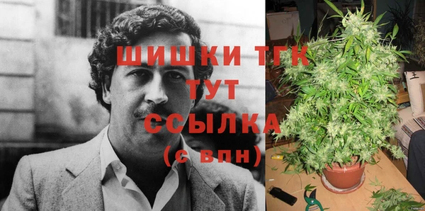 прущий лед Алексин