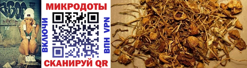 Галлюциногенные грибы ЛСД  купить наркотики сайты  ОМГ ОМГ ССЫЛКА  Боготол 